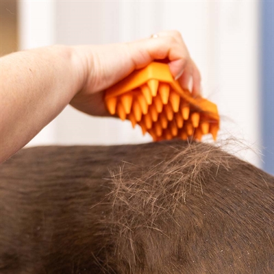 Wahl Pet Sheddy gummiborste tar bort smuts och orenheter